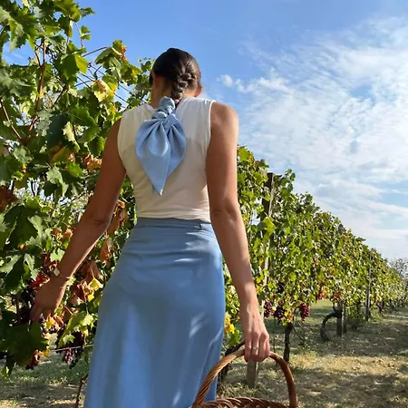 Casa Horizont Nyaraló Slankamen Vinogradi