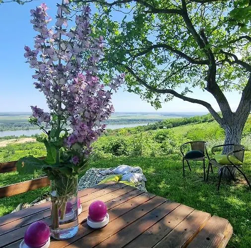 Casa Horizont Slankamen Vinogradi