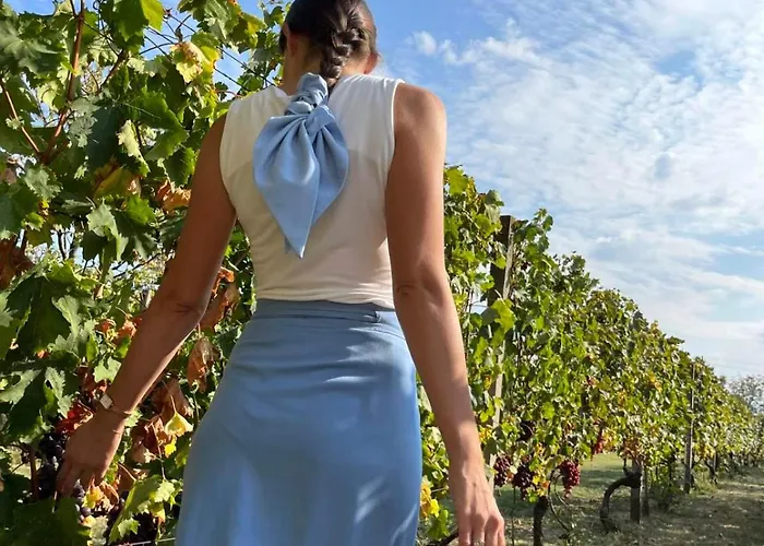 Casa Horizont Feriehus Slankamen Vinogradi