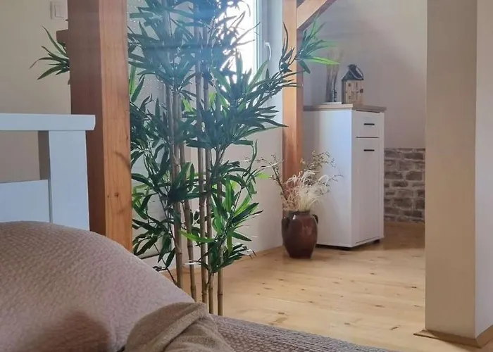 Casa Horizont * Slankamen Vinogradi